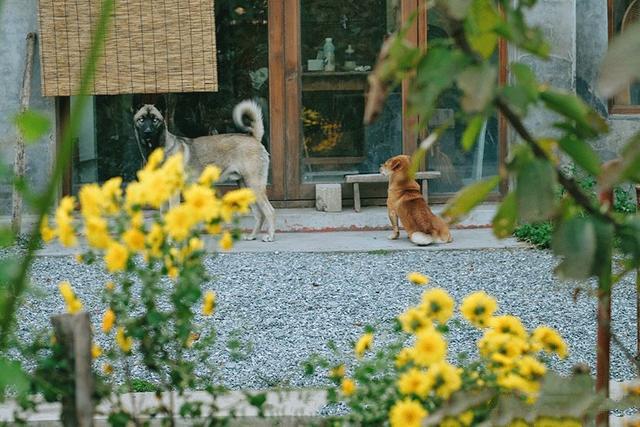 這是一個(gè)自由的私人島嶼，給居民一種舒適、溫暖和愛的感覺。在漫長(zhǎng)的歲月里，家是一個(gè)永恒、純潔而強(qiáng)大的存在。