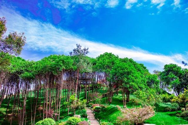 花園別墅設(shè)計(jì)